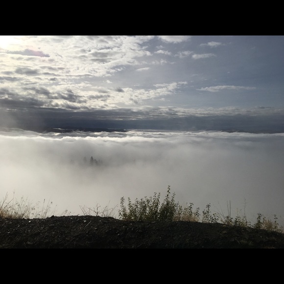 Meet your Posher, Hannah - Picture 4 of 4